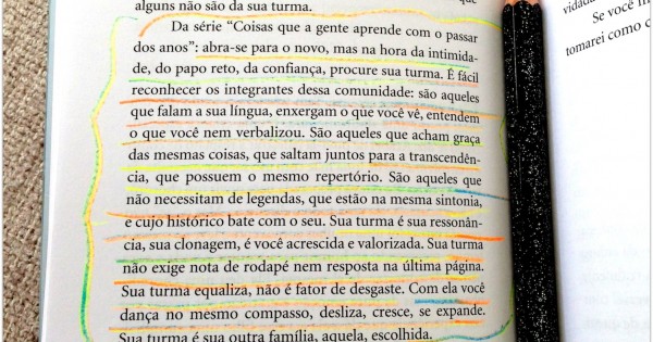 A-graça-da-coisa-2