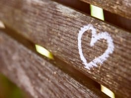 Tudo passa… Até mesmo o amor. Viver é recomeçar