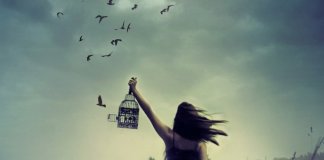 LIBERTE-SE DAS EXPECTATIVAS