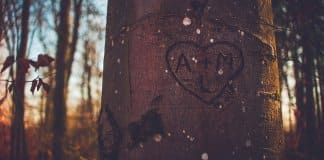 5 signos mais prováveis de te dizerem “Amo-te” mesmo não o sentindo