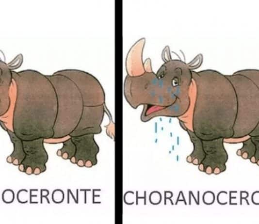 14 piadas tão idiotas que é impossível não rires