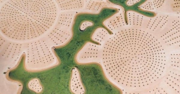 deserto-esta-apoderar-se-de-dubai-e-abu-dhabi-e-as-fotos-sao-absolutamente-fantasticas10