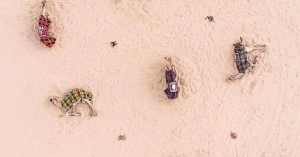 deserto-esta-apoderar-se-de-dubai-e-abu-dhabi-e-as-fotos-sao-absolutamente-fantasticas5