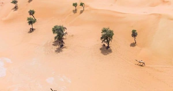 deserto-esta-apoderar-se-de-dubai-e-abu-dhabi-e-as-fotos-sao-absolutamente-fantasticas9
