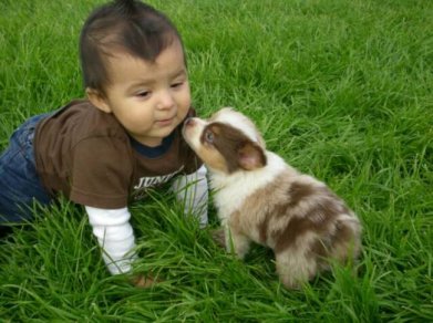 sabiaspalavras.com - 16 fotografias adoráveis que provam que todos as crianças deveriam ter um cachorro