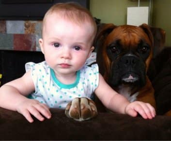 sabiaspalavras.com - 16 fotografias adoráveis que provam que todos as crianças deveriam ter um cachorro