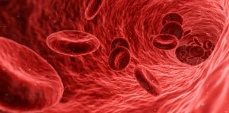 Nova teoria defende que as pessoas com tipo de sangue Rh-Negativo têm origens extraterrestres