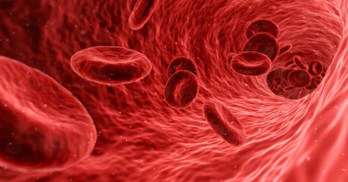 Nova teoria defende que as pessoas com tipo de sangue Rh-Negativo têm origens extraterrestres