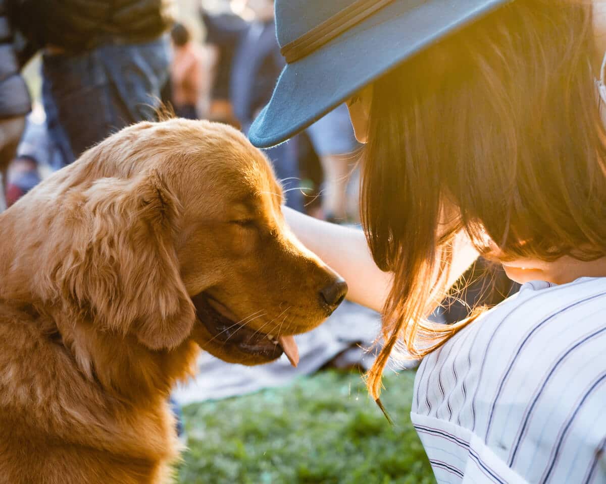 sabiaspalavras.com - Estudo conclui que possuir um cachorro pode ajudar-te a viver mais