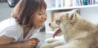 Estudo conclui que possuir um cachorro pode ajudar-te a viver mais