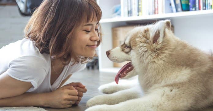 Estudo conclui que possuir um cachorro pode ajudar-te a viver mais