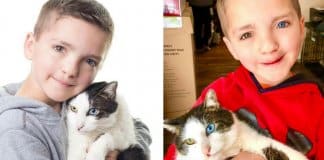 Menino vítima de bullying pela sua aparência adopta gato com a mesma condição genética