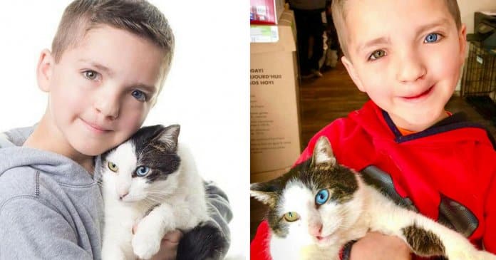 Menino vítima de bullying pela sua aparência adopta gato com a mesma condição genética