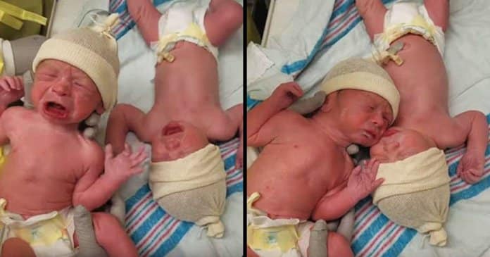 Bebés gémeos recém-nascidos só param de chorar quando estão juntos