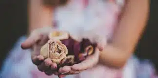 Nem todos preferem as rosas