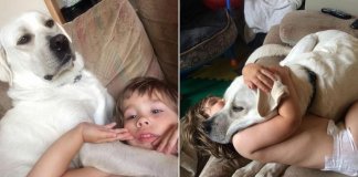 Cachorro acaba com pesadelos e muda vida de menino autista