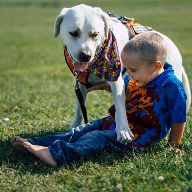 sabiaspalavras.com - Cachorro acaba com pesadelos e muda vida de menino autista