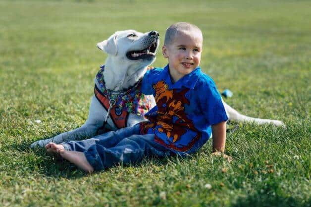 sabiaspalavras.com - Cachorro acaba com pesadelos e muda vida de menino autista