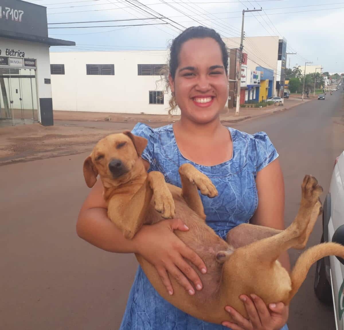 sabiaspalavras.com - Cachorro espera quase 7 horas por dona que fazia ENEM