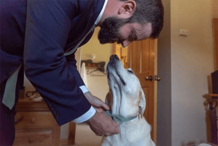 sabiaspalavras.com - Cachorro torna-se no centro das atenções em casamento dos donos