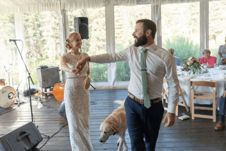 sabiaspalavras.com - Cachorro torna-se no centro das aten&ccedil;&otilde;es em casamento dos donos