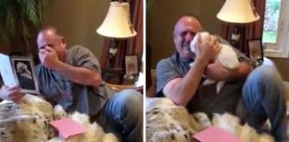 Pai perde os seus dois cachorros, mas a filha surpreende-o com um presente especial