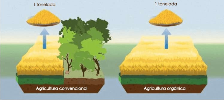 sabiaspalavras.com - Comer alimentos orgânicos pode ser pior para o clima do que os não-orgânicos