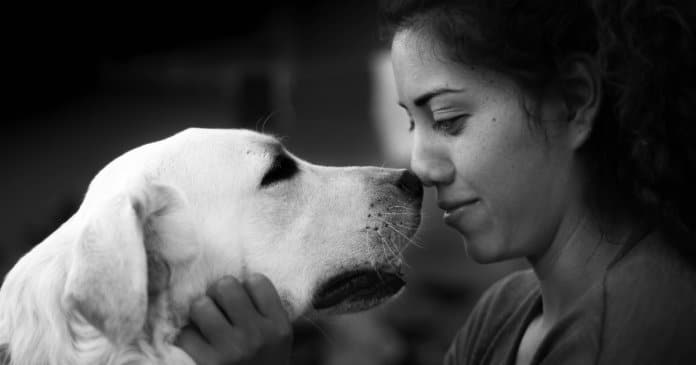 A perda de um cachorro pode ser tão devastadora quanto a perda de um ente querido