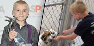Roman, o menino de 7 anos recebeu prémio da ASPCA por salvar mais de 1.300 cachorros