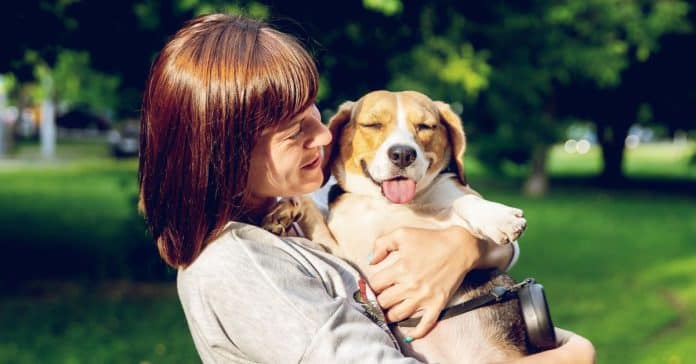 O meu cachorro não é um animal de estimação, é família