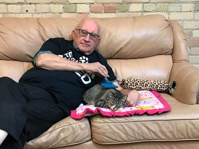 sabiaspalavras.com - Voluntário em abrigo de gatos acaba sempre por adormecer no sofá, e os gatinhos adoram