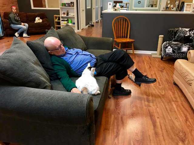 sabiaspalavras.com - Voluntário em abrigo de gatos acaba sempre por adormecer no sofá, e os gatinhos adoram