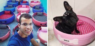 Artista brasileiro transforma pneus velhos em adoráveis camas para animais