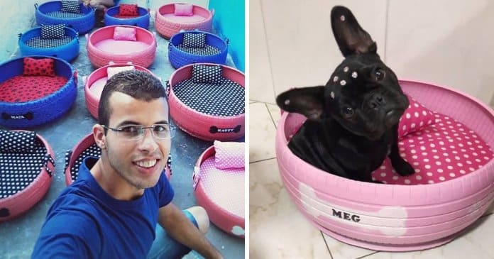 Artista brasileiro transforma pneus velhos em adoráveis camas para animais
