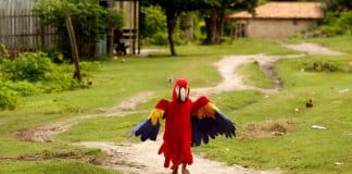 Bloquinho de Carnaval infantil homenageia animais da Amazónia há mais de 40 anos