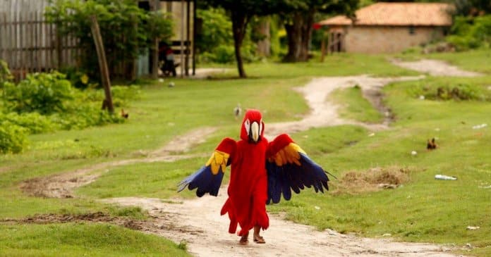 Bloquinho de Carnaval infantil homenageia animais da Amazónia há mais de 40 anos
