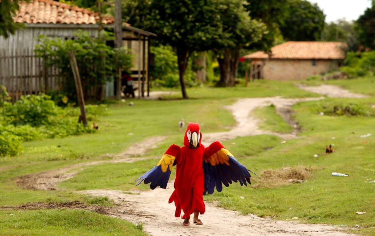 sabiaspalavras.com - Bloquinho de Carnaval infantil homenageia animais da Amazónia há mais de 40 anos