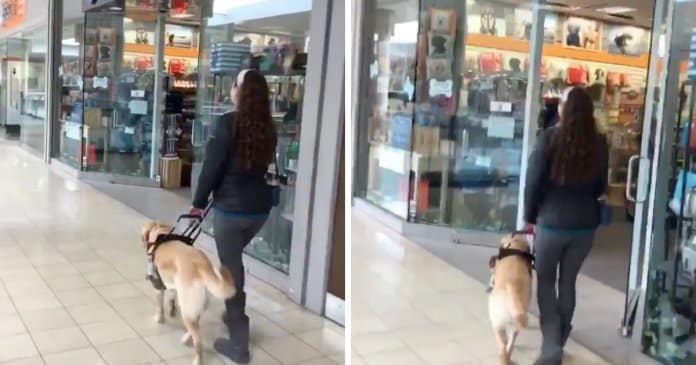 Cão-guia leva dona a loja de animais sem ela perceber sempre que vão ao shopping