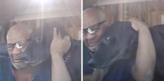 Homem faz vídeo emocionante ao recuperar o seu cachorro perdido