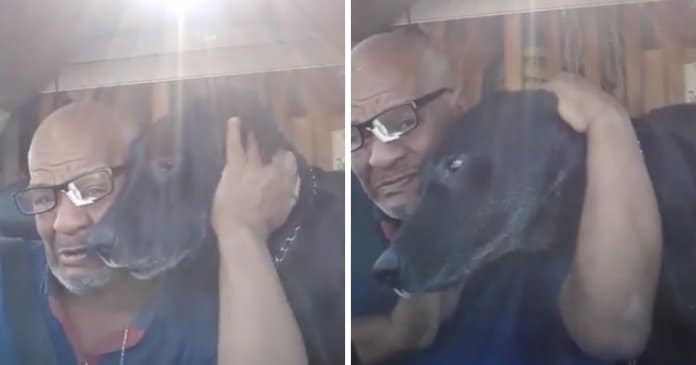 Homem faz vídeo emocionante ao recuperar o seu cachorro perdido