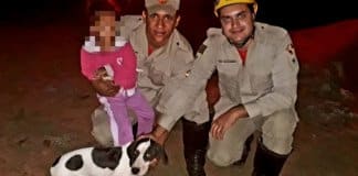 Latidos de cachorro ajudam bombeiros a encontrar menina de 3 anos que estava perdida