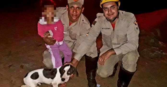 Latidos de cachorro ajudam bombeiros a encontrar menina de 3 anos que estava perdida