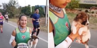 Maratonista encontra um pequeno cachorro durante corrida e carrega-o cerca de 30 km’s