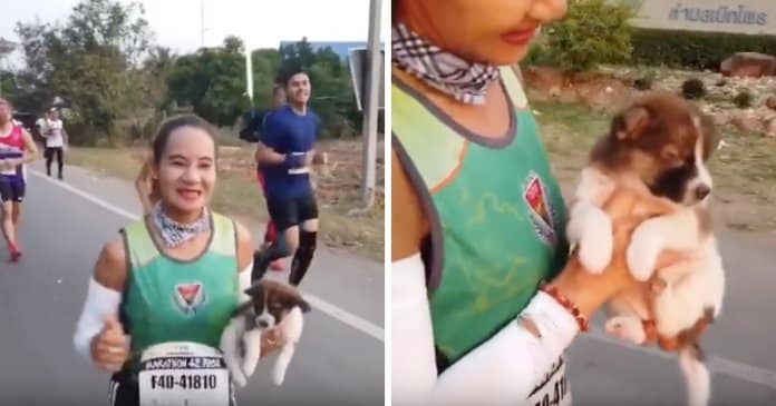 Maratonista encontra um pequeno cachorro durante corrida e carrega-o cerca de 30 km’s