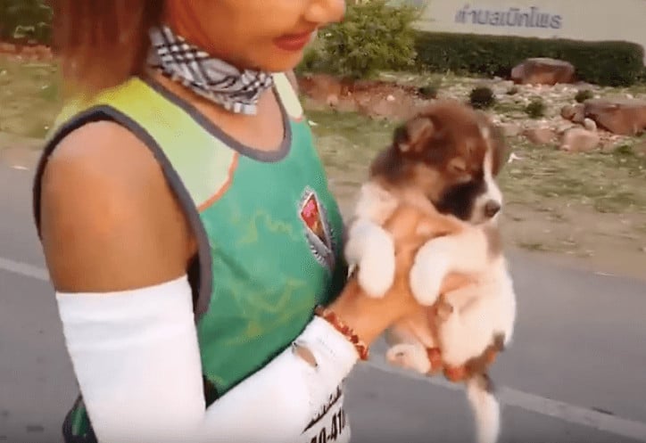 sabiaspalavras.com - Maratonista encontra um pequeno cachorro durante corrida e carrega-o cerca de 30 km's