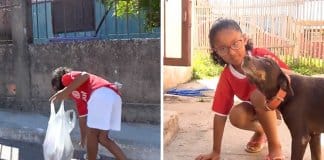 Menina de 7 anos apanha latinhas para comprar comida para cachorros de rua