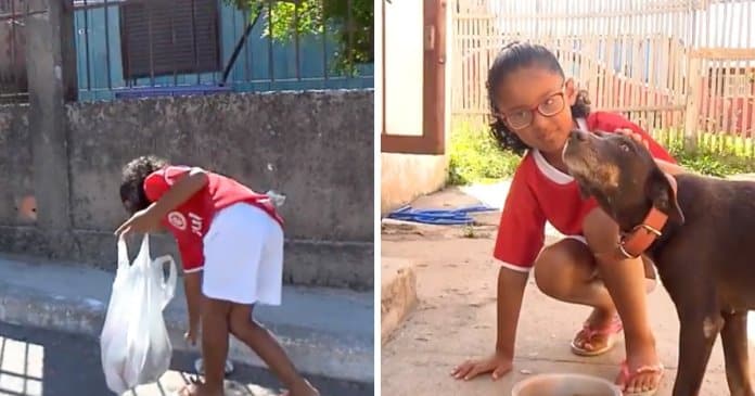 Menina de 7 anos apanha latinhas para comprar comida para cachorros de rua