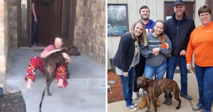 Pais surpreendem filha ao adoptar cachorro pelo qual esta se havia apaixonado