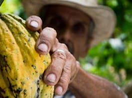 Quinta produtora de alimentos orgânicos contrata apenas pessoas sem-abrigo