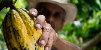 Quinta produtora de alimentos orgânicos contrata apenas pessoas sem-abrigo